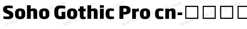 Soho Gothic Pro cn字体转换